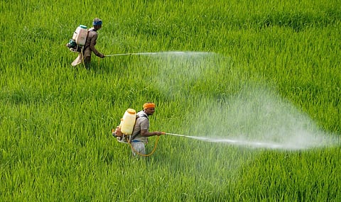 பூச்சிக்கொல்லி தடை: உச்ச நீதிமன்றம் விமர்சனம்