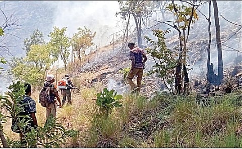 சதுரகிரி மலையில் காட்டுத் தீயால் பக்தர்கள் மலையேற தடை - இன்று முதல் அனுமதிக்க வனத்துறை முடிவு