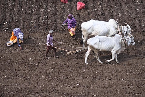 60+ வயதினருக்கு மாதம் ரூ.3,000 - விவசாயத் தொழிலாளர் ஓய்வூதிய திட்டத்தில் பயன்பெறுவது எப்படி? - மத்திய அரசு விளக்கம்
