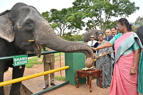 சென்னை பல்கலைக்கழக பட்டமளிப்பு விழாவில் குடியரசு தலைவர் முர்மு இன்று பங்கேற்கிறார்