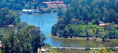 மதுரை - கொடைக்கானல் ஒருநாள் சுற்றுலா: உள்ளூர் மக்களை கவர சுற்றுலா துறை புது முயற்சி