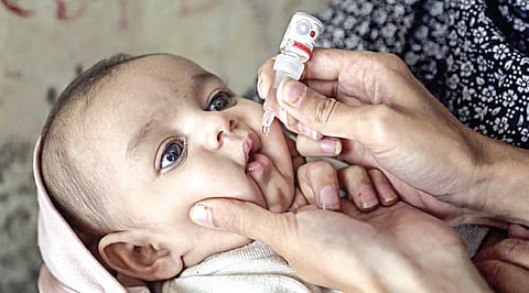 சுதந்திர சுடர்கள்: போலியோவை ஒழித்த திட்டம்