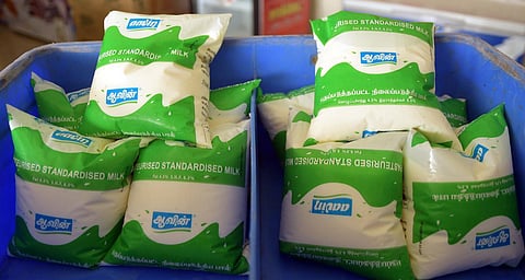 பச்சை நிற 5 லிட்டர் பால் பாக்கெட்டுகள் விலை உயர்வா?- ஆவின் விளக்கம்