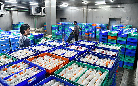 5 லிட்டர் பச்சை நிற பாக்கெட் பால் ரூ.10 உயர்வு - ஆவின் நிறுவனம் விளக்கம்