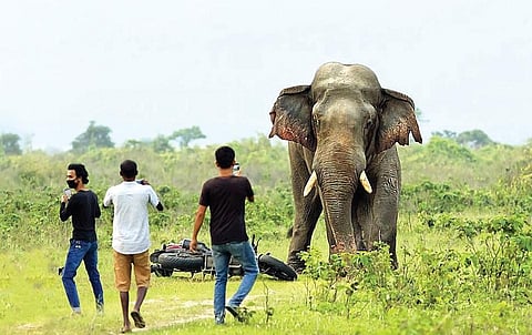 பேருயிரைச் சரியாகப் புரிந்துகொள்கிறோமா?