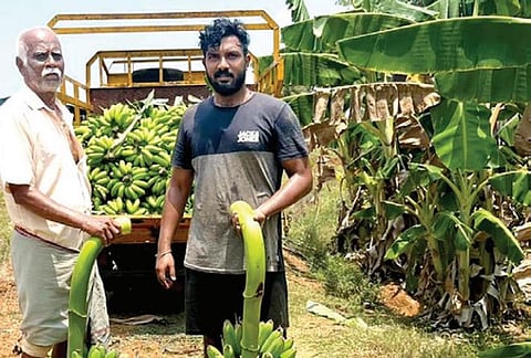 ஐ.டி. துறையை விட்டு விவசாயி ஆன எம்பிஏ பட்டதாரி - மதுரையில் ஒருங்கிணைந்த பண்ணையம்