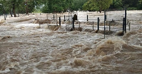 ஒகேனக்கல்லில் பரிசல் இயக்க தடை