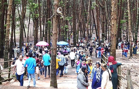 கொடைக்கானலில் சுற்றுலா இடங்களுக்கு செல்லும் வாகனங்களுக்கு வனத்துறை புதிய கட்டுப்பாடு