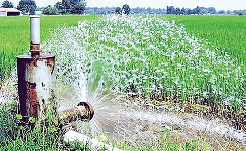 நிலத்தடி நீரை நம்பி விவசாயம்