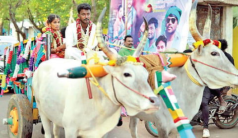 மணமகளை மாட்டு வண்டியில் அழைத்து வந்த மணமகன்: திருச்செந்தூர் அருகே ருசிகர சம்பவம்