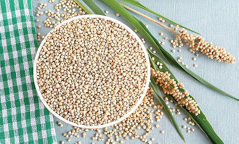 ருசி பசி - 10: சொர்க்கமே என்றாலும்... அது நாட்டுச்சோளம்தான்