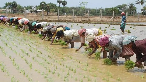 நில ஒருங்கிணைப்பு சட்டத்துக்கு விவசாயிகள் எதிர்ப்பு