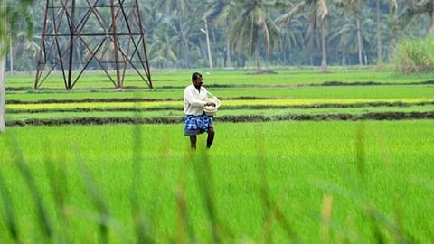 குறுவை பயிர்களைக் காக்க கூடுதல் நீர் கேட்டு உச்ச நீதிமன்றத்தை தமிழகம் உடனே அணுக வேண்டும்: ராமதாஸ்