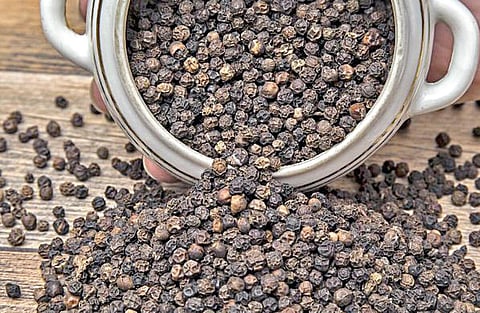 ருசி பசி - 12: தங்கம் கொடுத்து வாங்கப்பட்ட மிளகு