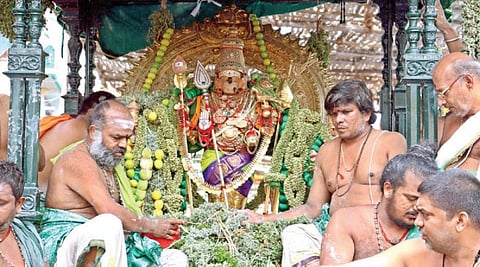 திருச்செந்தூர் சுப்பிரமணிய சுவாமி கோயில் ஆவணித் திருவிழாவில் நேற்று சுவாமி சண்முகர் பச்சை சார்த்தி எழுந்தருளி வீதி உலா வந்து காட்சியளித்தார்