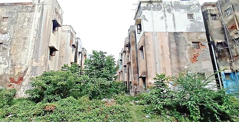 முறையான பராமரிப்பு இல்லாததால் குடியிருப்பு பகுதியைச் சுற்றிலும் வளர்ந்துள்ள செடிகள்.