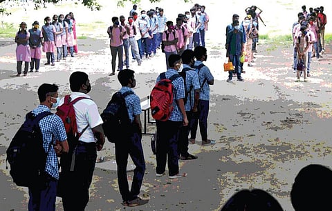 எல்கேஜி ஸ்டூடண்டா ஏடிஸ் ஈஜிப்டி வகை கொசுக்கள்?! - பள்ளிகளில் டெங்கு கொசு ஒழிப்பை தீவிரப்படுத்த கோரிக்கை