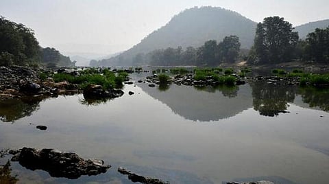 காவிரி ஆறு | கோப்புப் படம்