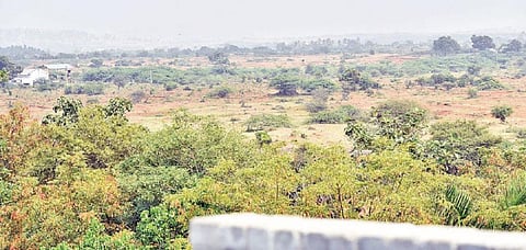 மதுரை தோப்பூரில் எய்ம்ஸ் மருத்துவமனை அமையவிருக்கும் இடம். படம்: எஸ்.கிருஷ்ணமூர்த்தி