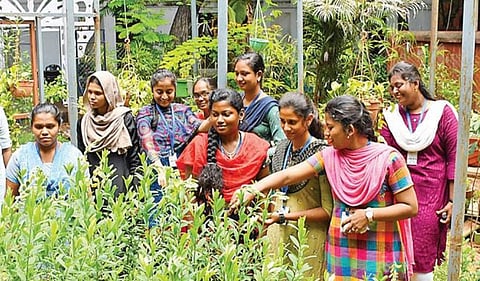 பூங்காவில் உள்ள பட்டாம் பூச்சிகளை ஆர்வமுடன் பார்க்கும் மாணவிகள்.