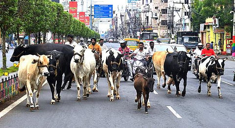 கோப்புப்படம்