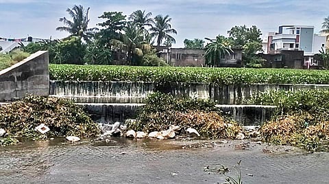 பெருகும் ஆக்கிரமிப்புகள்... பெருக்கெடுக்கும் கழிவுநீர்... - பொலிவை இழக்கும் செம்பாக்கம் ஏரி!