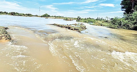 அமணம்பாக்கம் ஏரி கரை உடைக்கப்பட்டதால் அதிலிருந்து வெளியேறும் தண்ணீர்.