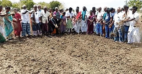 வறட்சி நிவாரணம், பயிர் காப்பீடு வழங்காததைக் கண்டித்து மட்டியரேந்தலில் வயலில் இறங்கி போராட்டம் நடத்திய கிராம மக்கள்.