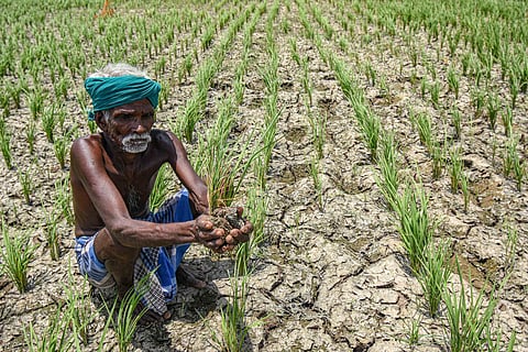 வாடிய பயிருடன் விவசாயி