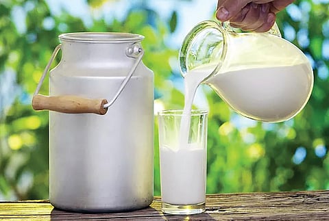 கரோனாவால் பால் உற்பத்தி பாதிக்கலாம்!