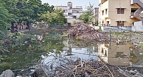 பெருங்களத்தூர் காலிமனையில் தேங்கும் மழைநீரால் கொசு உற்பத்தி அதிகரிப்பு: நோய் பீதியில் மக்கள்