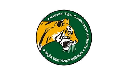 நீலகிரியில் இயற்கை காரணங்களால் புலிகள் இறப்பு: தேசிய புலிகள் பாதுகாப்பு ஆணையம் அறிவிப்பு