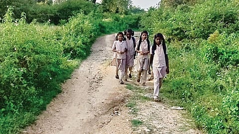 மலைவாழ் மக்களால் பயணிக்க முடியாத சாலை - 75 ஆண்டுகளாக மனமிறங்காத அதிகாரிகள் @ திருப்பத்தூர்