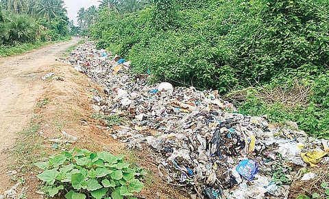 உமராபாத்-மாச்சம்பட்டு பிரதான சாலையின் இருபுறமும் குப்பை கழிவுகள் கொட்டப்பட்டுள்ளன.