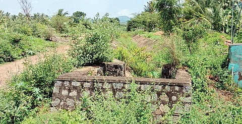 கீரைப்பட்டி அருகில் இந்திரா நகர் பகுதியில் வரட்டாறு அணை கால்வாயில் செடிகள் வளர்ந்து நீர் செல்லும் பாதை அடைபட்டுள்ளது. படம்: எஸ். செந்தில்