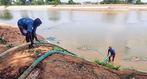 சம்பா இளம்நெற்பயிரை காப்பாற்ற கல்லணைக் கால்வாய் ஆற்றிலிருந்து டீசல் மோட்டார் மூலம் தண்ணீர் பாய்ச்சும் முயற்சியில் இறங்கியுள்ள விவசாயிகள்.