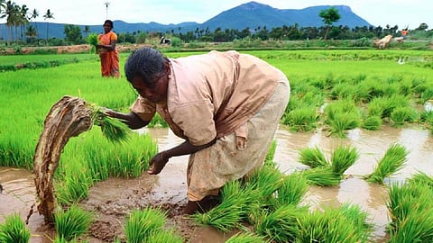 கோப்புப்படம்