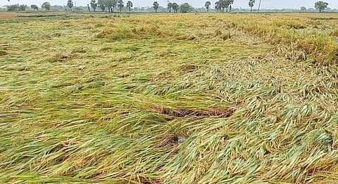 கோப்புப்படம்