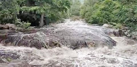 வத்திராயிருப்பு மேற்குத் தொடர்ச்சி மலைப் பகுதியில் பெருக்கெடுத்து ஓடிய காட்டாற்று வெள்ளம்.