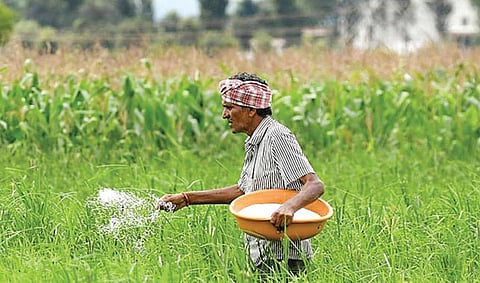 பயன் தருகிறதா நானோ யூரியா உரம்?