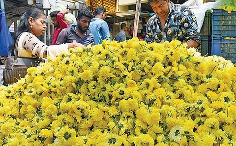 ஆயுதபூஜையையொட்டி கோவை பூ மார்க்கெட்டில் நேற்று செவ்வந்தி பூக்கள். படங்கள்: ஜெ.மனோகரன்.