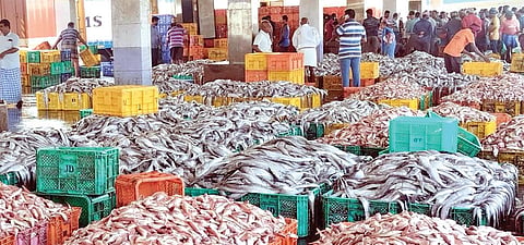 குளச்சல் மீன்பிடி துறைமுகத்தில் பிடிபட்ட மீன்களை வாங்கிய வியாபாரிகள் கேரளாவுக்கு கொண்டு செல்ல பெட் டிகளில் வைத்துள்ளனர்.