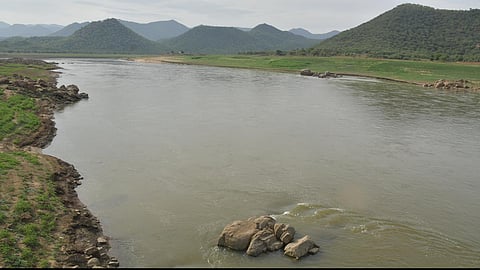 கோப்பு படம்