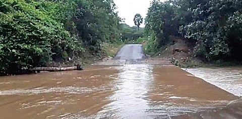 ராஜபாளையம் மேற்குத் தொடர்ச்சி மலைப் பகுதியில் பெய்த கனமழை காரணமாக ராக்காச்சி அம்மன் கோயிலுக்கு செல்லும் வழியில் உள்ள தரைப்பாலத்தை மூழ்கடித்து பாய்ந்த வெள்ளம்.
