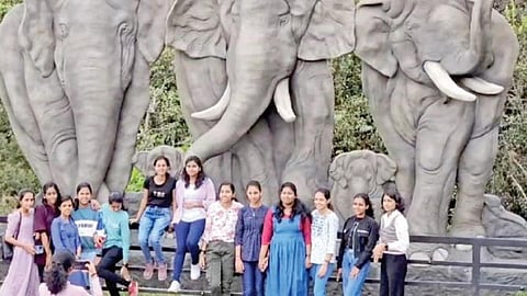 கொடைக்கானல் தூண்பாறை அருகே யானை சிற்பங்கள் முன் புகைப்படம் எடுத்துக்கொண்ட வெளிமாநில சுற்றுலா பயணிகள்.