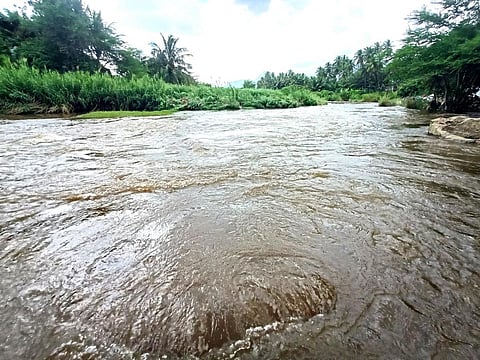 வறண்டு கிடந்த தேனி கொட்டக்குடி ஆற்றில் தொடர் மழையினால் ஏற்பட்டுள்ள வெள்ளப்பெருக்கு. | படங்கள்: என்.கணேஷ்ராஜ்.
