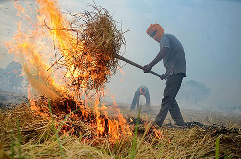டெல்லி காற்று மாசு | பயிர்க் கழிவுகள் எரிப்பதை உடனே நிறுத்த 4 மாநிலங்களுக்கு உச்ச நீதிமன்றம் உத்தரவு