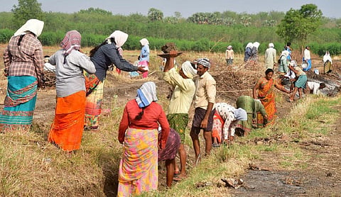 100 நாள் வேலை திட்டத்துக்கான 4 மாத ஊதியம் தீபாவளிக்குள் வழங்கப்படுமா? - தமிழகம் முழுவதும் எதிர்பார்ப்பு