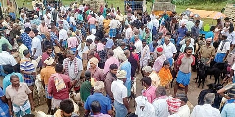 கோபிநாதம்பட்டி கூட்டு ரோடு வாரச் சந்தையில் ரூ.5 கோடிக்கு கால்நடைகள் வர்த்தகம்