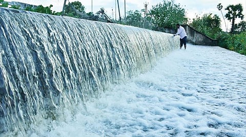 நெல்லை, தென்காசி, தூத்துக்குடியில் மழை நீடிப்பு